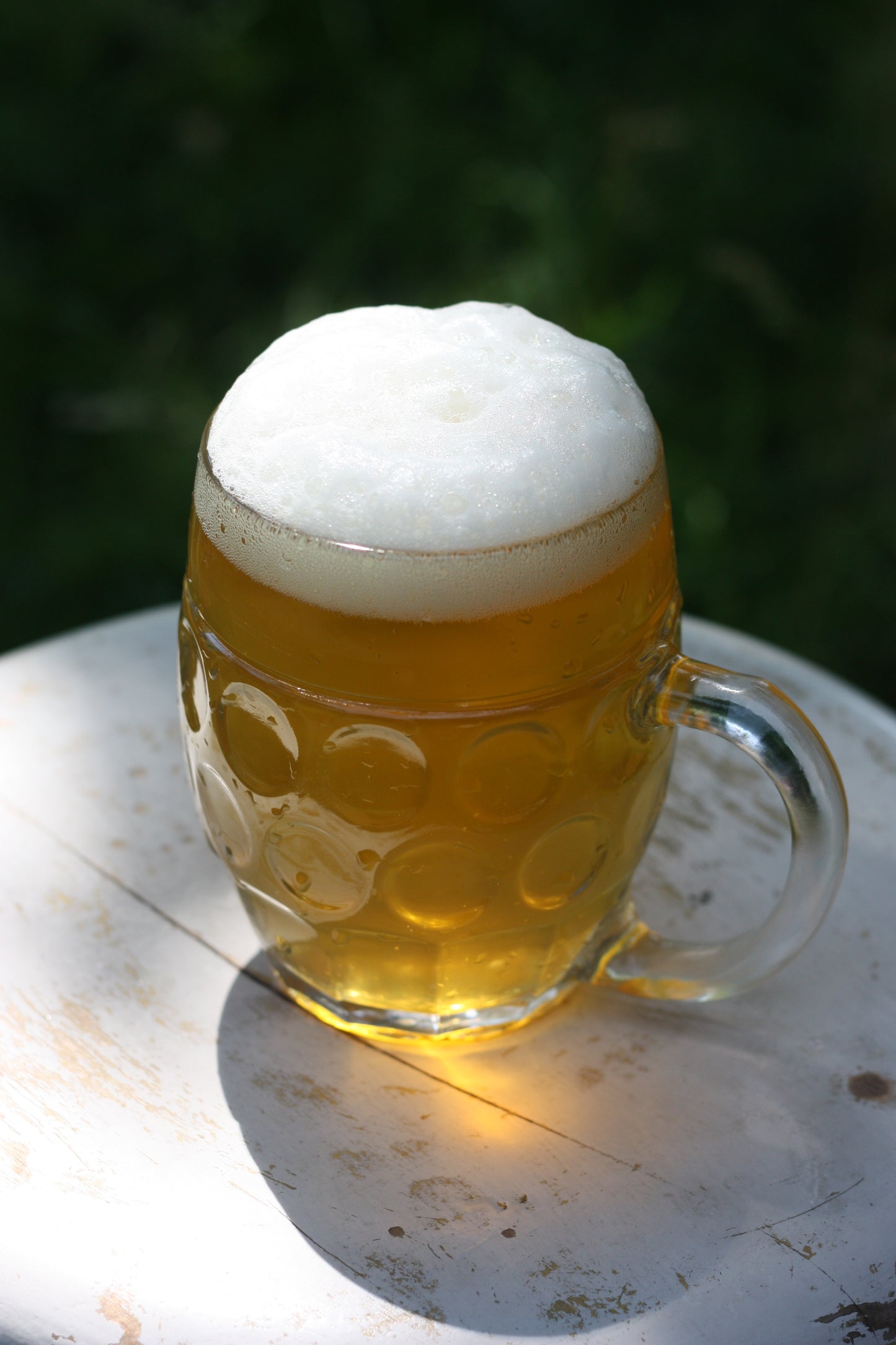 PIVERT - Organic Pilsner