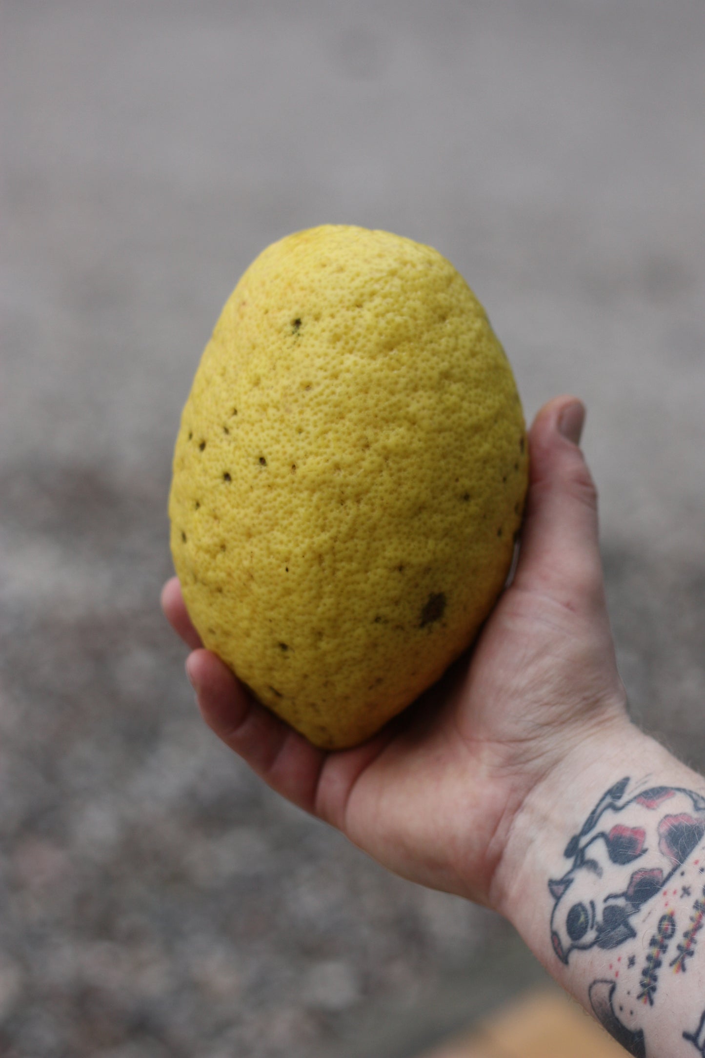 YUZU - Organic Yuzu Berliner Weisse